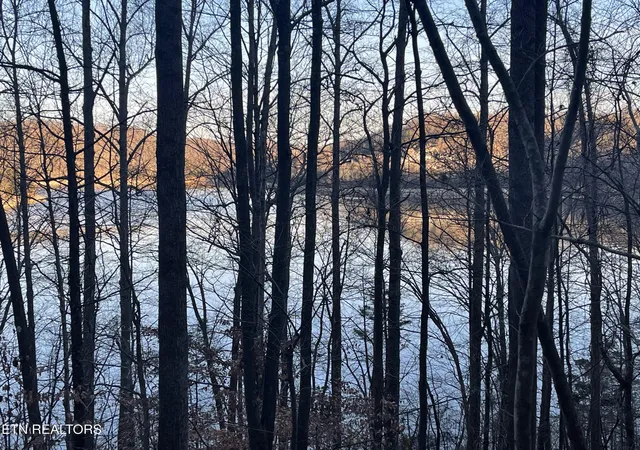 Photo 4 of Land for sale at 0 Back Bone Rd, Sparta, TN 38583 | MLS# 1335126 | Listing updated on 2026-04-02