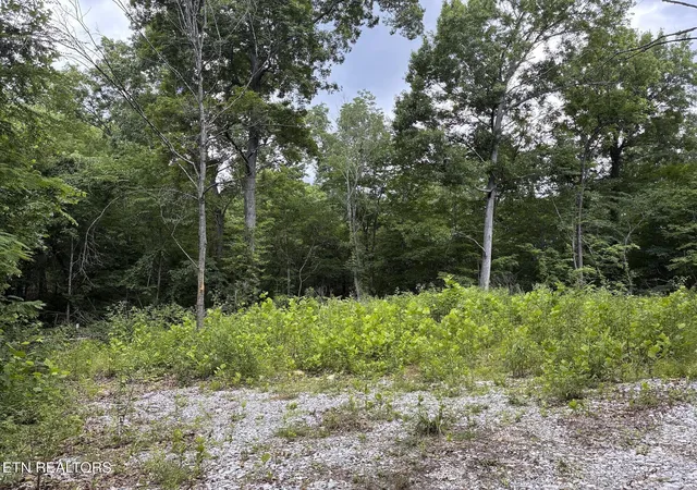 2nd image of 2147 Belt Rd, Knoxville, TN 37920 | MLS# 1334801