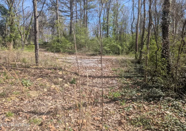 14th image of 2147 Belt Rd, Knoxville, TN 37920 | MLS# 1334801