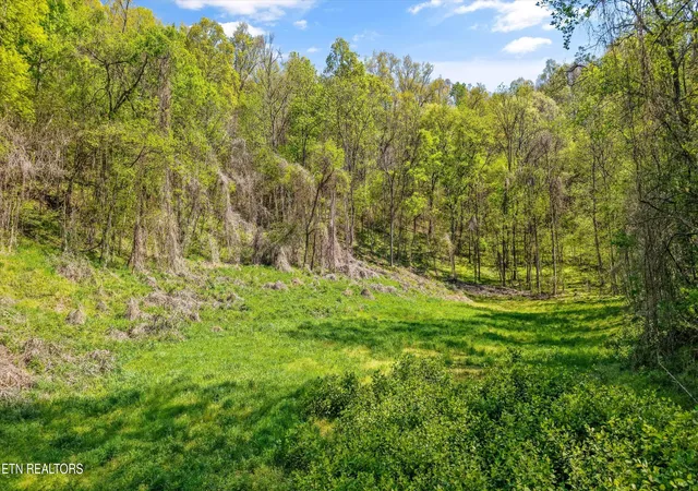 4th image of 0 New Hwy 68, Madisonville, TN 37354 | MLS# 1334806
