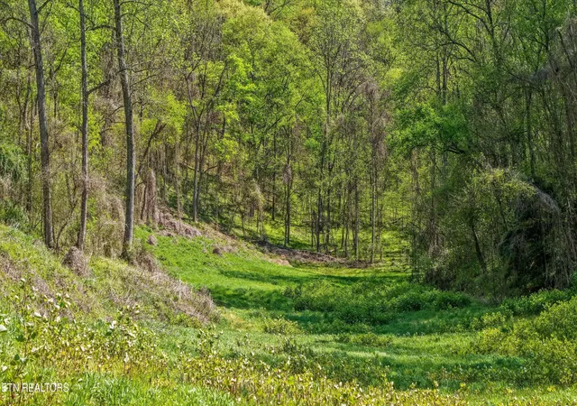 5th image of 0 New Hwy 68, Madisonville, TN 37354 | MLS# 1334806