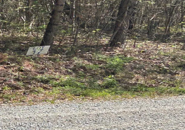 3rd image of Lot 27 Jones Ridge Rd, Speedwell, TN 37870 | MLS# 1335153
