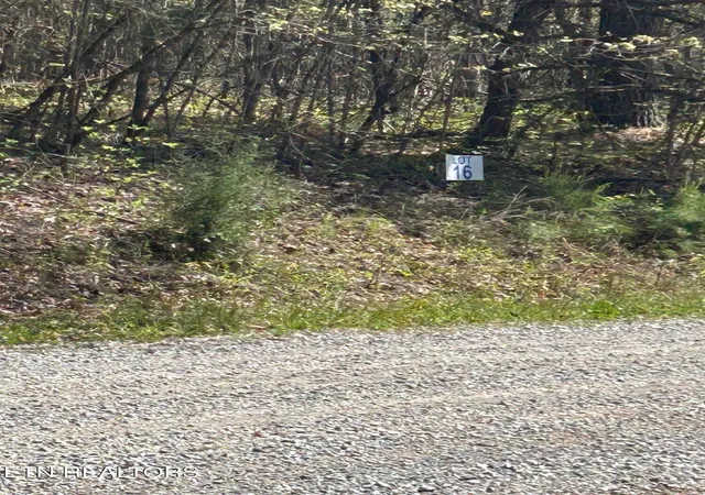 4th image of Lot 27 Jones Ridge Rd, Speedwell, TN 37870 | MLS# 1335153