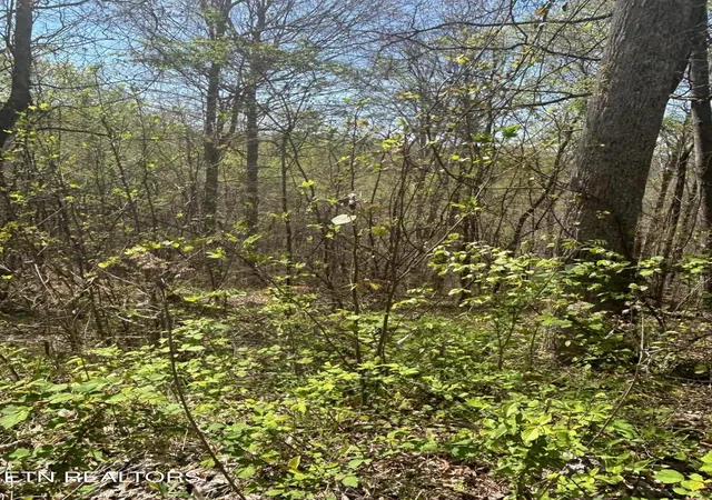 5th image of Lot 27 Jones Ridge Rd, Speedwell, TN 37870 | MLS# 1335153