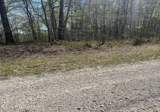 Homes for sale in Speedwell, TN | Lot 28 Jones Ridge Rd, Speedwell, TN 37870 | MLS# 1335154