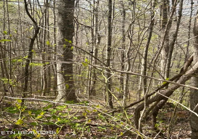 Homes for sale in Speedwell, TN | Lot 28 Jones Ridge Rd, Speedwell, TN 37870 | MLS# 1335154