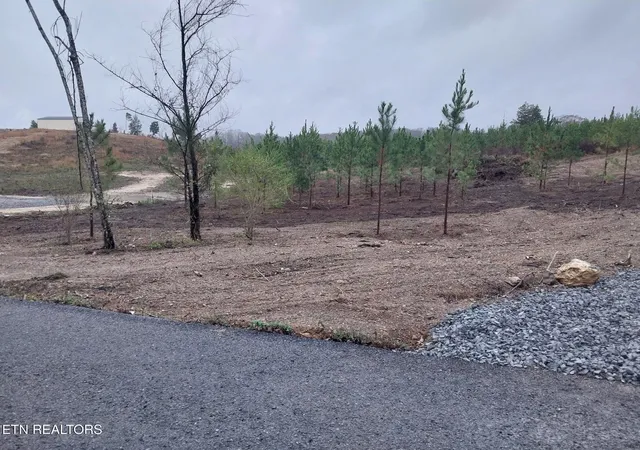 Photo 3 of Land for sale at 339 Big Sewee Rd, Decatur, TN 37322 | MLS# 1334933 | Listing updated on 2026-07-16