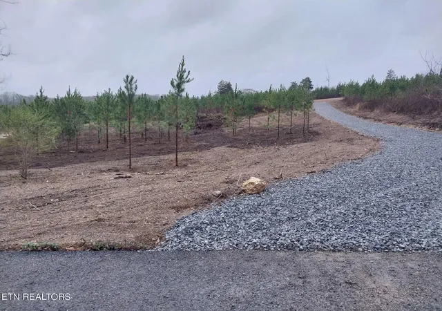 Photo 3 of Land for sale at 339 Big Sewee Rd, Decatur, TN 37322 | MLS# 1334933 | Listing updated on 2026-07-16