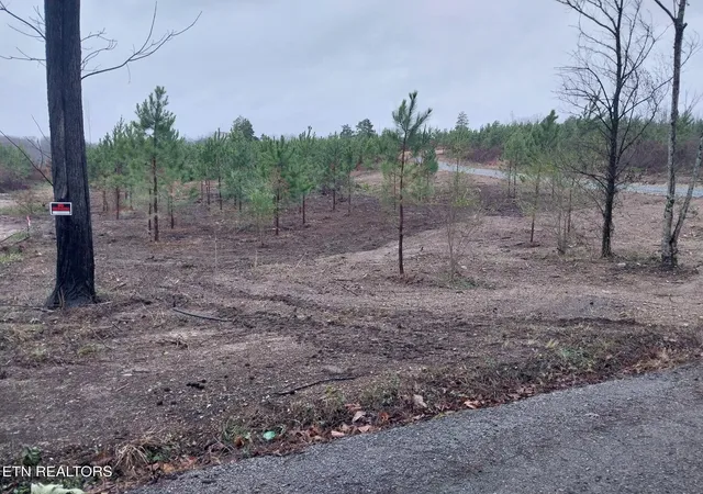 Photo 4 of Land for sale at 339 Big Sewee Rd, Decatur, TN 37322 | MLS# 1334933 | Listing updated on 2026-07-16