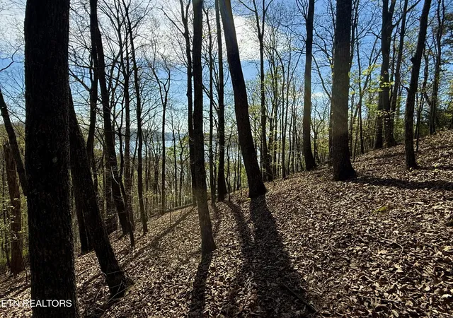 3rd image of 39 Eerie Pt #lot 39, Rockwood, TN 37854 | MLS# 1335178