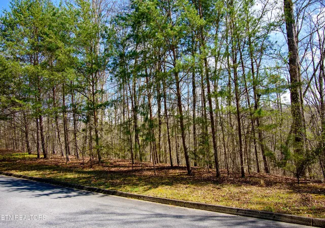 3rd image of Turtle Dove Tr, Dandridge, TN 37725 | MLS# 1335064