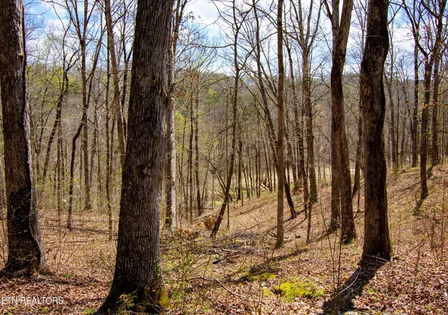 4th image of Turtle Dove Tr, Dandridge, TN 37725 | MLS# 1335064