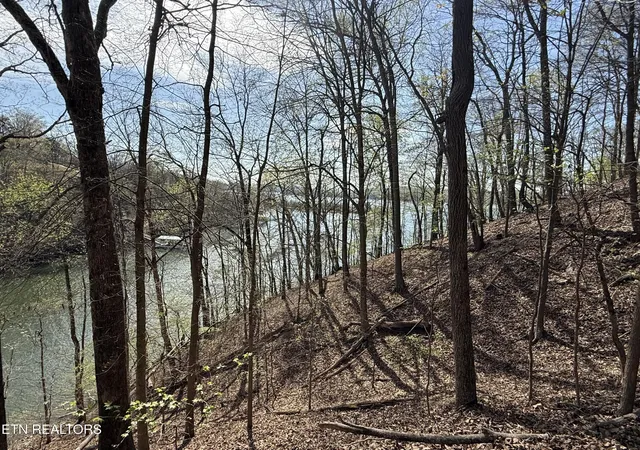 3rd image of 40 Eerie Pt #40, Rockwood, TN 37854 | MLS# 1335180