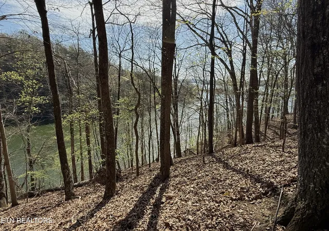 4th image of 40 Eerie Pt #40, Rockwood, TN 37854 | MLS# 1335180
