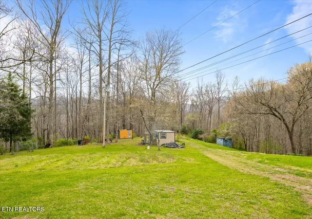 51st image of 439 Rogerston Rd, Clairfield, TN 37715 | MLS# 1334989