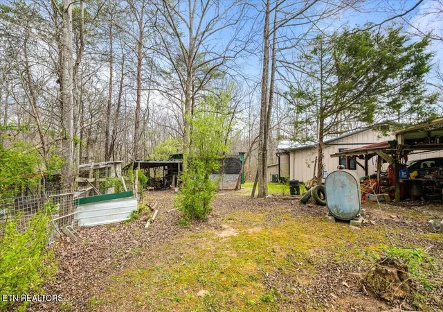 Photo 4 of Single family home for sale at 439 Rogerston Rd, Clairfield, TN 37715 | MLS# 1334989 | Listing updated on 2026-09-25