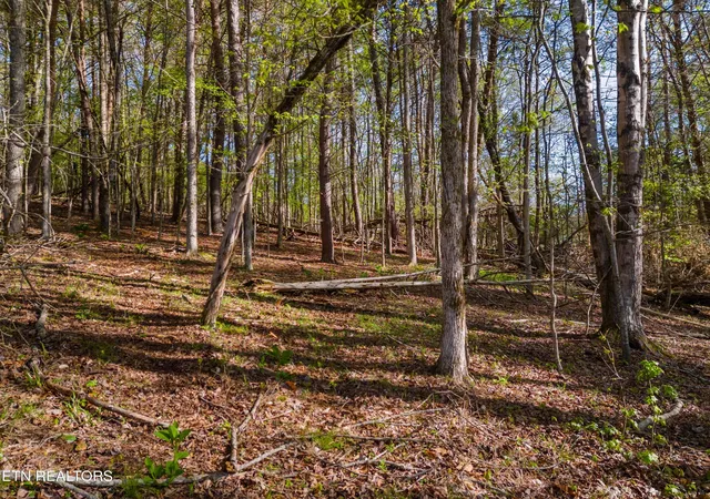 Homes for sale in Baneberry, TN | Lot 13 Back Nine Dr, Baneberry, TN 37890 | MLS# 1335338