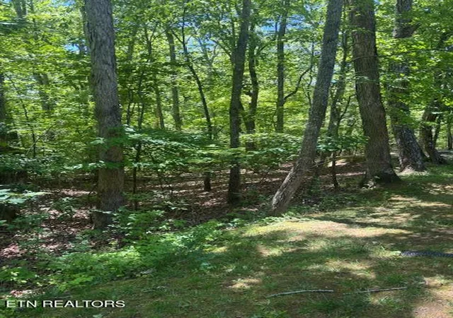 30th image of 101 Hilton Ln, Crossville, TN 38558 | MLS# 1334986