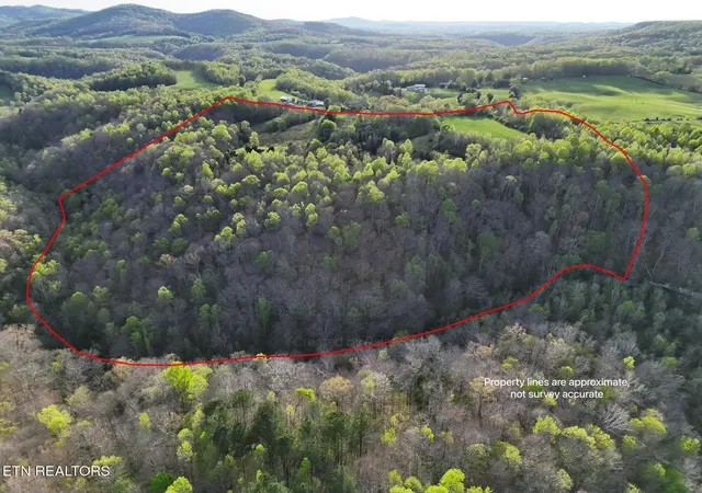 5th image of 171 Gooseneck Ln, Jamestown, TN 38556 | MLS# 1335024