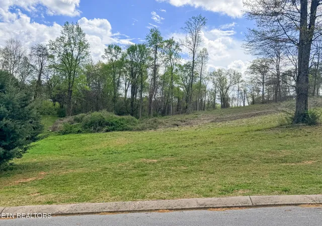 Photo 3 of Land for sale at 0 Woodland Dr, Jasper, TN 37347 | MLS# 1335811 | Listing updated on 2026-05-04