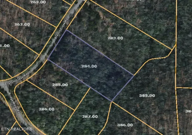 Homes for sale in Spencer, TN | Branch Creek Rd, Spencer, TN 38585 | MLS# 1335279