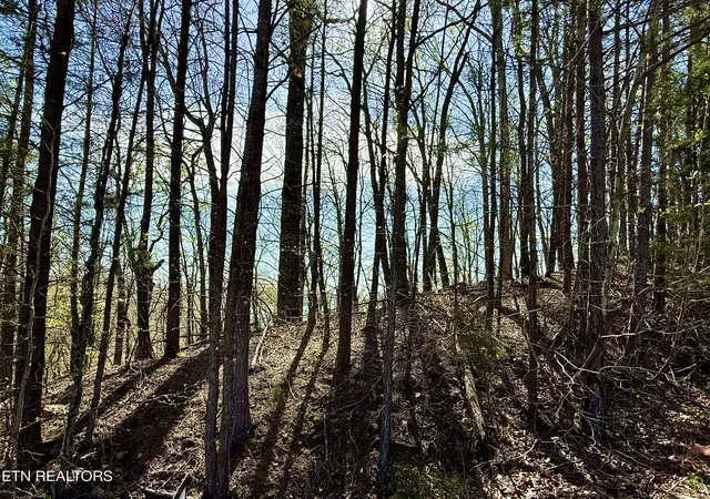 2nd image of Eerie Pt #39 & 40, Rockwood, TN 37854 | MLS# 1335175
