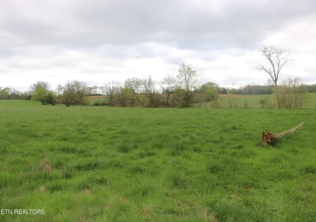 4th image of 838 Acres Campground Rd, Madisonville, TN 37354 | MLS# 1335109