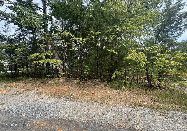 2nd image of 103 Odali Ln, Loudon, TN 37774 | MLS# 1335331