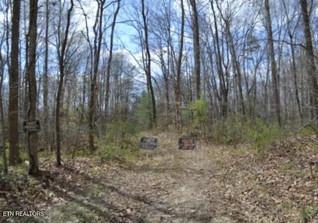 Homes for sale in Oneida, TN | 1079Ac S/O Buffalo Rd Rd, Oneida, TN 37841 | MLS# 1335174