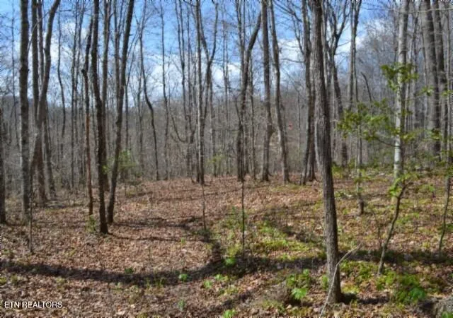 Homes for sale in Oneida, TN | 1079Ac S/O Buffalo Rd Rd, Oneida, TN 37841 | MLS# 1335174