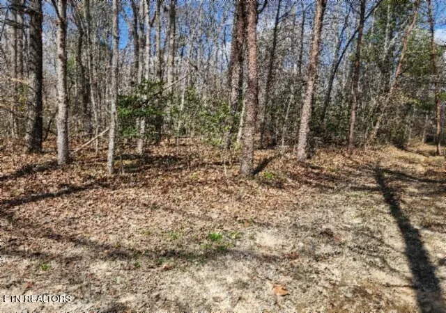 Homes for sale in Oneida, TN | 1079Ac S/O Buffalo Rd Rd, Oneida, TN 37841 | MLS# 1335174