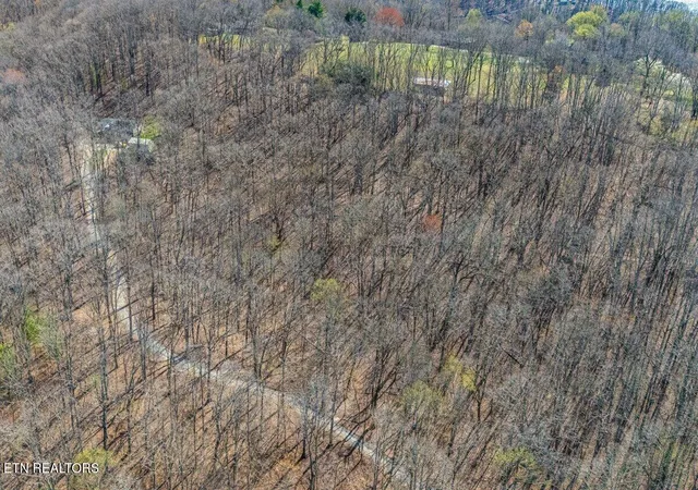 Photo 3 of Land for sale at Fawn Rest Dr #A13, Harriman, TN 37748 | MLS# 1335235 | Listing updated on 2026-07-19