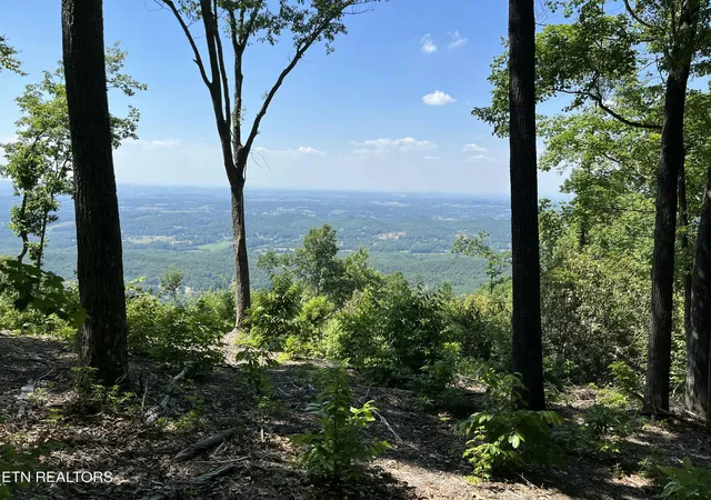 4th image of 4166 Chilhowee Tr, Maryville, TN 37803 | MLS# 1335245