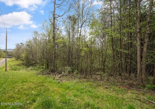 1st image of 1433 Timber Trail, Newport, TN 37821 | MLS# 1335336