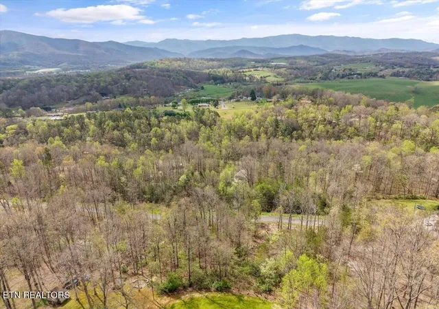 4th image of 1433 Timber Trail, Newport, TN 37821 | MLS# 1335336