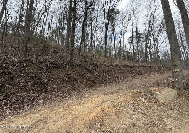 Photo 2 of Land for sale at 401 Reece Holw Rd, Del Rio, TN 37727 | MLS# 1335708 | Listing updated on 2026-04-07