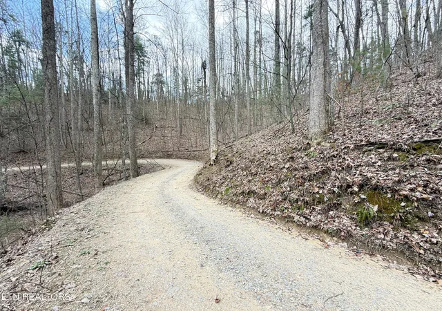 Photo 3 of Land for sale at 401 Reece Holw Rd, Del Rio, TN 37727 | MLS# 1335708 | Listing updated on 2026-04-07