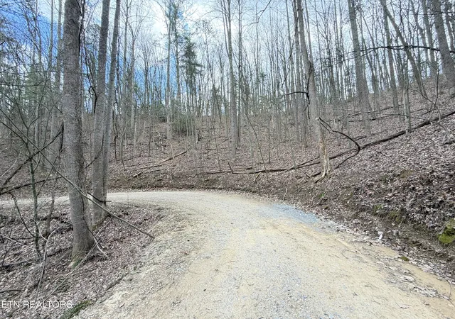 Photo 4 of Land for sale at 401 Reece Holw Rd, Del Rio, TN 37727 | MLS# 1335708 | Listing updated on 2026-04-07