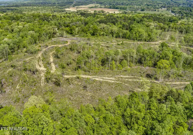 Photo 4 of Land for sale at 713 Oak Grv Rd, Decatur, TN 37322 | MLS# 1335503 | Listing updated on 2026-06-07