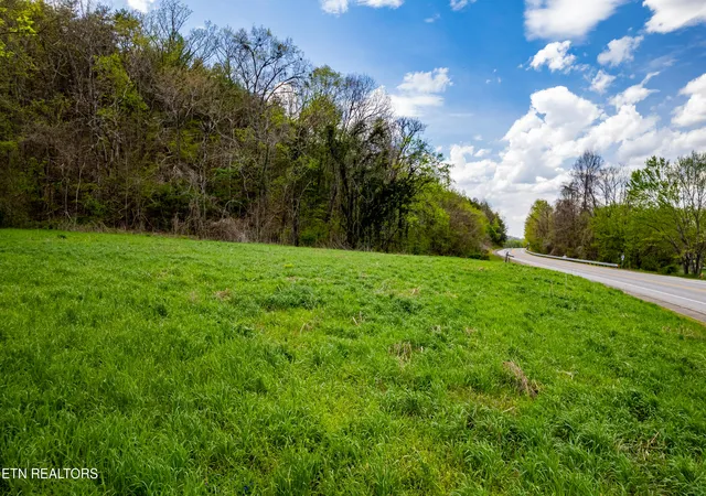 35th image of Cherohala Skyway, Tellico Plains, TN 37385 | MLS# 1335576