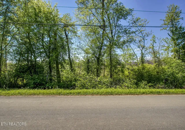 2nd image of 695 Oak Grove Rd, Decatur, TN 37322 | MLS# 1335504