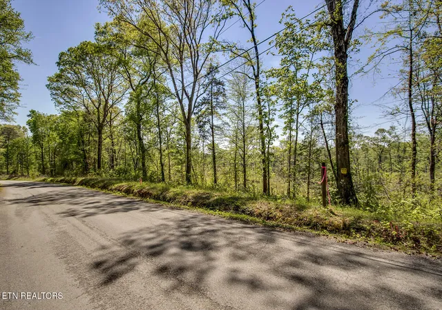 4th image of 645 Oak Grove Rd, Decatur, TN 37322 | MLS# 1335505