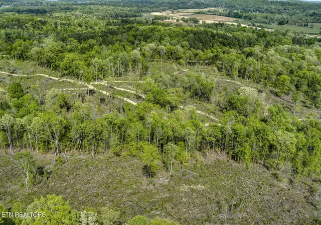 5th image of 645 Oak Grove Rd, Decatur, TN 37322 | MLS# 1335505