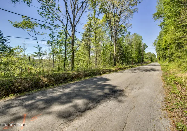 3rd image of 567 Oak Grove Rd, Decatur, TN 37322 | MLS# 1335506