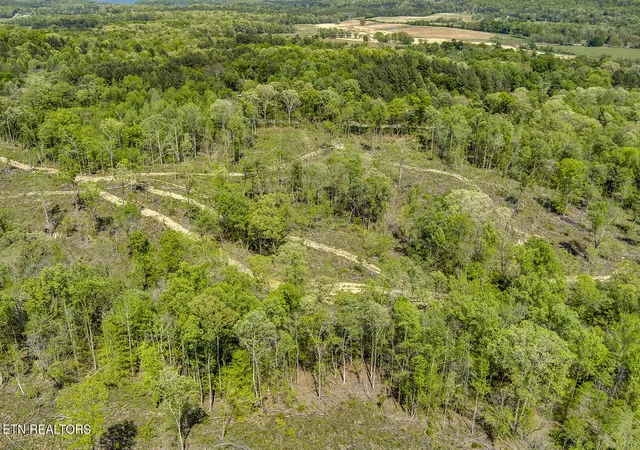 5th image of 567 Oak Grove Rd, Decatur, TN 37322 | MLS# 1335506