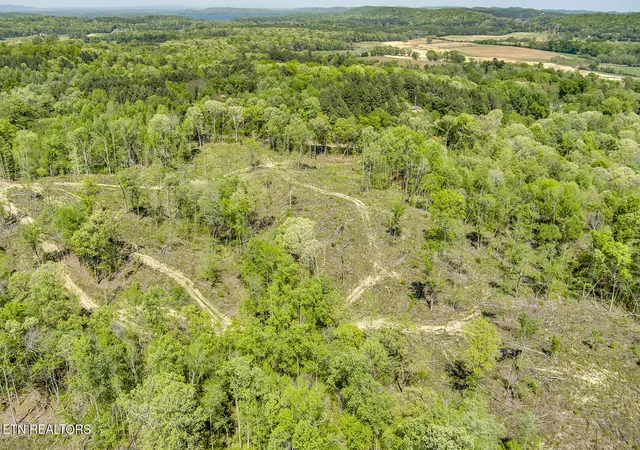 Photo 4 of Land for sale at 555 Oak Grv Rd, Decatur, TN 37322 | MLS# 1335507 | Listing updated on 2026-06-07