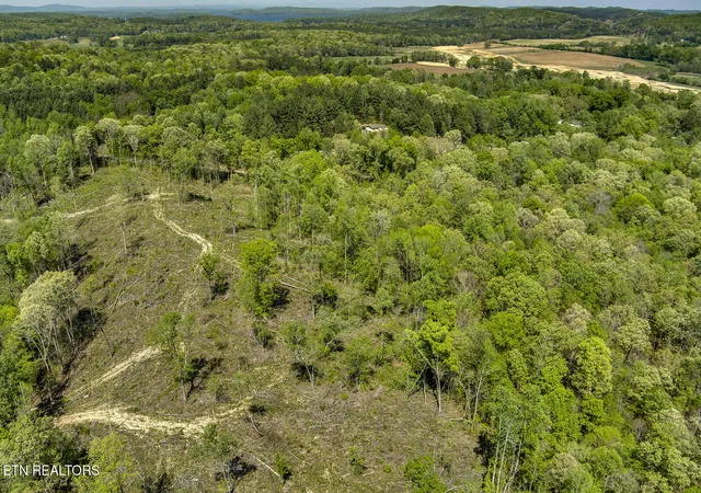 5th image of 549 Oak Grove Rd, Decatur, TN 37322 | MLS# 1335508