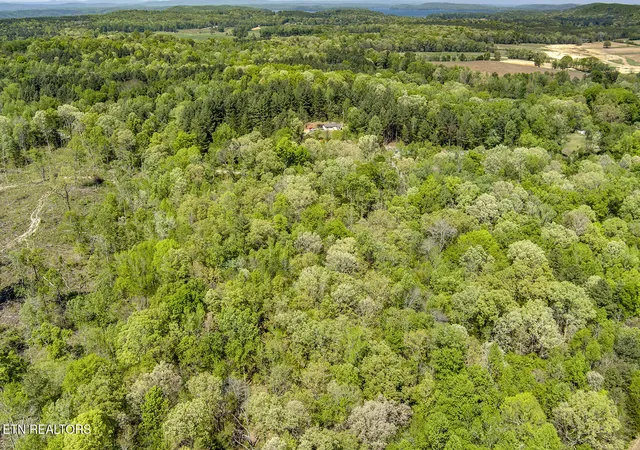 5th image of 537 Oak Grove Rd, Decatur, TN 37322 | MLS# 1335509