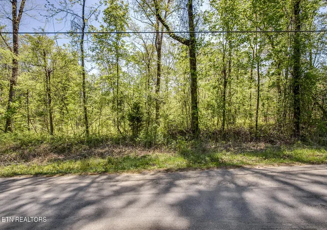 2nd image of 485 Oak Grove Rd, Decatur, TN 37322 | MLS# 1335511