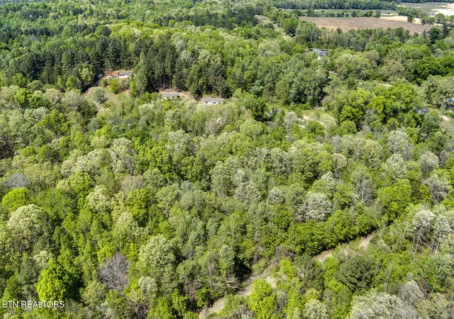 5th image of 485 Oak Grove Rd, Decatur, TN 37322 | MLS# 1335511